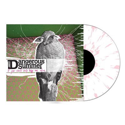The Dangerous Summer - If You Could Only Keep Me Alive download mp3 flac