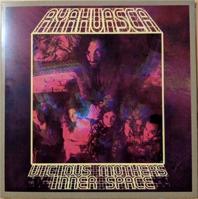 Ayahuasca - Vicious Mothers download mp3 flac