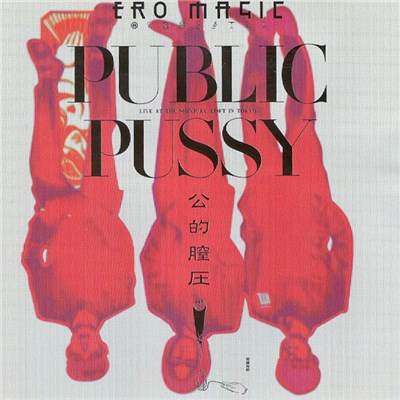 Y Setsu O = Yセツ王 - Public Pussy = 公的膣圧 download mp3 flac