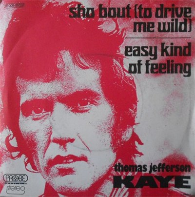 Thomas Kaye - Sho Bout (To Drive Me Wild) download mp3 flac