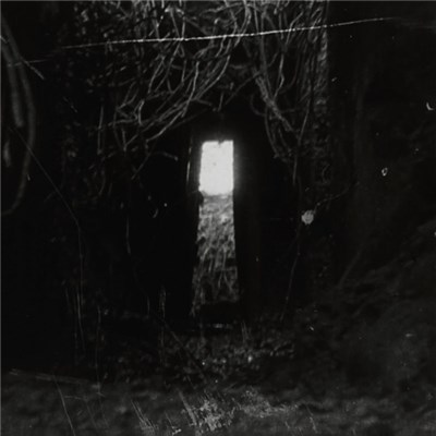 124C41+ - ODE download mp3 flac