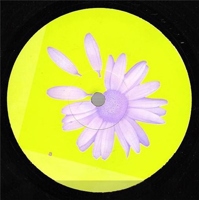 Vermittelnde-Elemente - Blume EP download mp3 flac