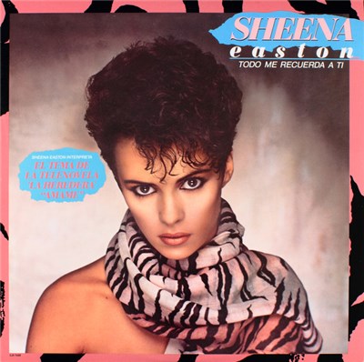 Sheena Easton - Todo Me Recuerda A Ti download mp3 flac