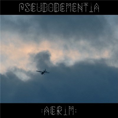 Pseudodementia - Aerim download mp3 flac