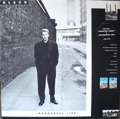 Black - Wonderful Life download mp3 flac
