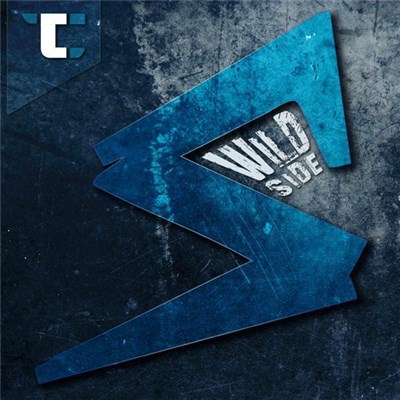 Str3tch - Wild Side download mp3 flac