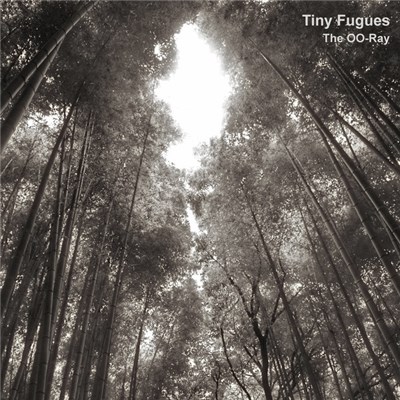 The OO-Ray - Tiny Fugues download mp3 flac