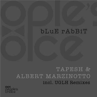 Tapesh & Albert Marzinotto - Blue Rabbit download mp3 flac