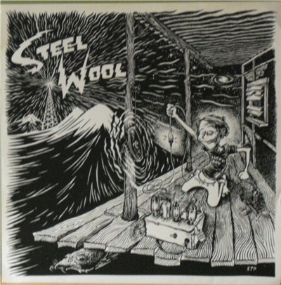 Steel Wool - Lucky Boy download mp3 flac