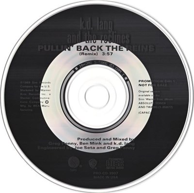 k.d. lang And The Reclines - Pullin' Back The Reins (Remix) download mp3 flac
