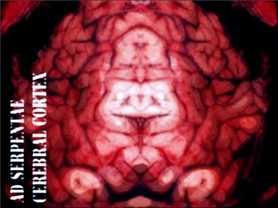 Ad Serpentae - Cerebral Cortex download mp3 flac