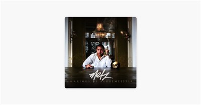 Metz - Maximus De Burgemeester download mp3 flac