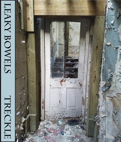 Leaky Bowels - Treckle download mp3 flac