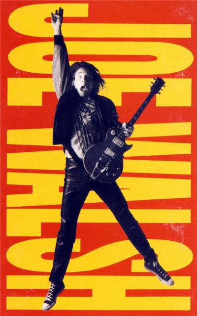 Joe Walsh - Ordinary Average Guy download mp3 flac