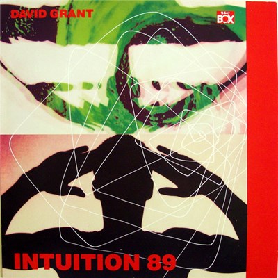 David Grant - Intuition 89 download mp3 flac