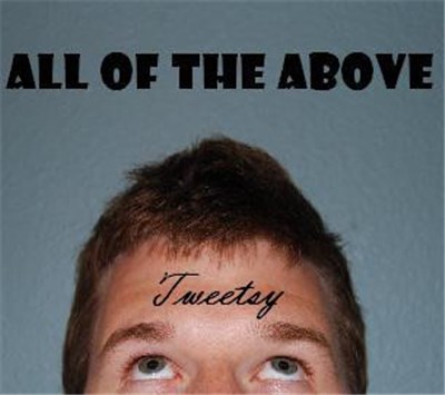 Tweetsy - All Of The Above download mp3 flac