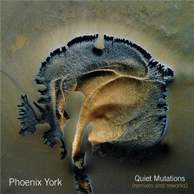 Phoenix York - Quiet Mutations [Remixes And Reworks] download mp3 flac