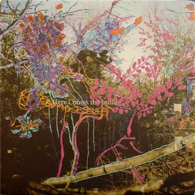 Animal Collective - Here Comes The Indian download mp3 flac