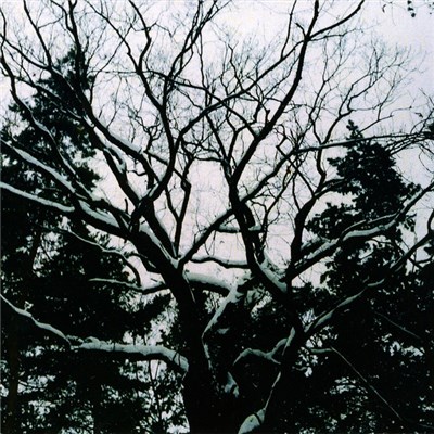 OwlCraft - Hide From Sun download mp3 flac
