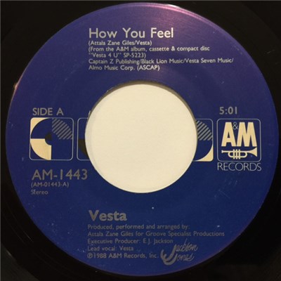 Vesta - How You Feel download mp3 flac