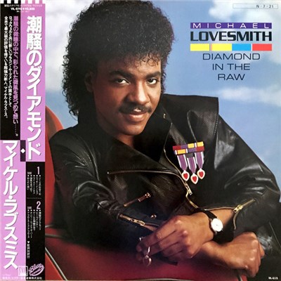 Michael Lovesmith - Diamond In The Raw download mp3 flac