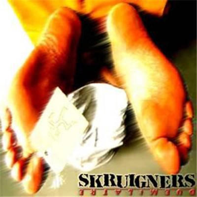 Skruigners - Duemilatre download mp3 flac