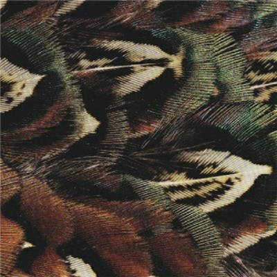 Hodge - Forms Of Life download mp3 flac
