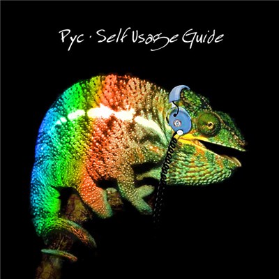 Pyc - Self Usage Guide download mp3 flac