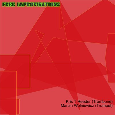 Kris T Reeder, Marcin Wolniewicz - Free Improvisations download mp3 flac