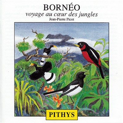 Jean-Pierre Picot - Bornéo - Voyage Au Coeur Des Iles download mp3 flac