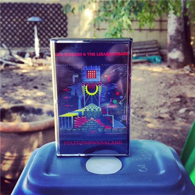 King Gizzard & The Lizard Wizard - Polygondwanaland download mp3 flac