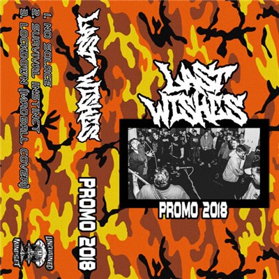 Last Wishes - Promo 2018 download mp3 flac