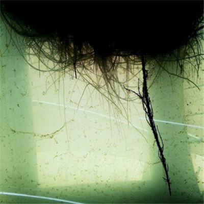 Garme Nascut, Daniel Celsi download mp3 flac