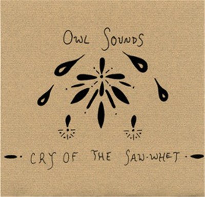 Owl Sounds - Cry Of The Saw-Whet download mp3 flac