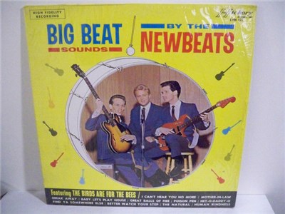 The Newbeats - Big Beat Sounds By The Newbeats download mp3 flac