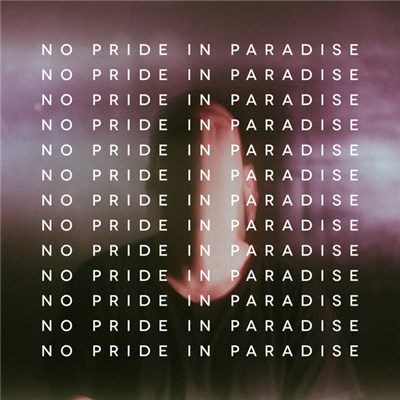 The New Division - No Pride In Paradise download mp3 flac