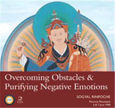 Sogyal Rinpoche - Overcoming Obstacles & Purifying Negative Emotions download mp3 flac