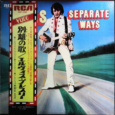 Elvis Presley - Separate Ways download mp3 flac