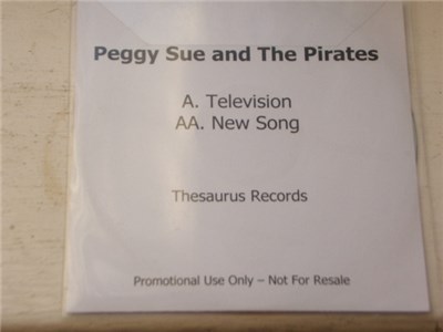 Peggy Sue And The Pirates - Television / New Song download mp3 flac