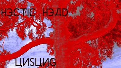 Hectic Head - Unsung download mp3 flac