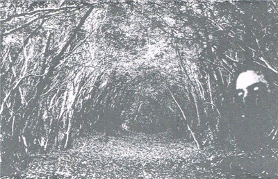 Demstervold - Den Svartne Spökerii download mp3 flac
