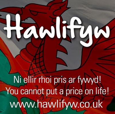 Various - Hawl I Fyw / Right To Live download mp3 flac