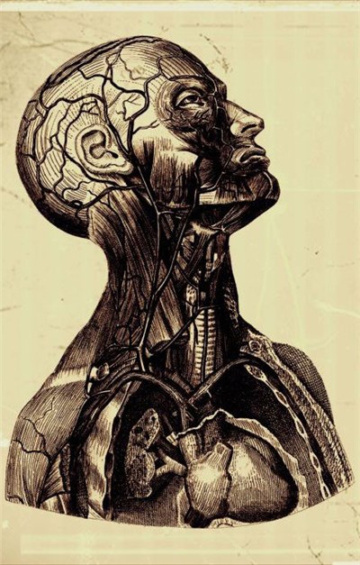 Mentalny Kolaps - Reminiscence download mp3 flac