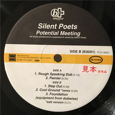 Silent Poets - Potential Meeting download mp3 flac