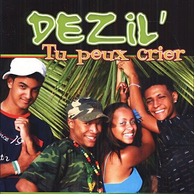 Dezil' - Tu Peux Crier download mp3 flac