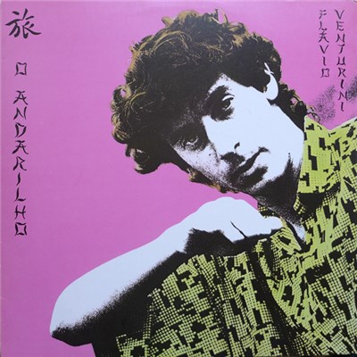 Flávio Venturini - O Andarilho download mp3 flac