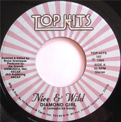 Nice & Wild - Diamond Girl download mp3 flac
