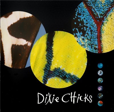 Dixie Chicks - Fly download mp3 flac