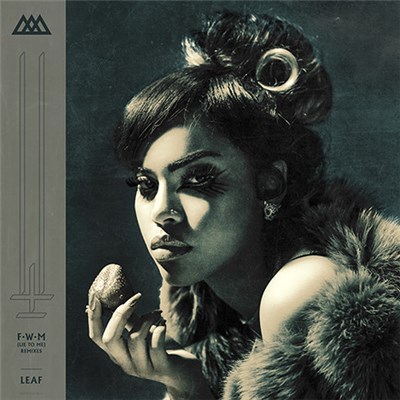 Leaf - FWM (Lie To Me) (Remixes) download mp3 flac