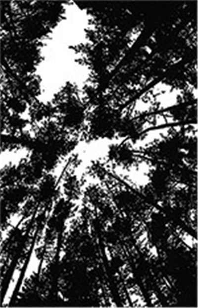 Wømb - Perceptions Of Sightlessness download mp3 flac